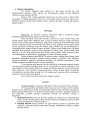 Nacionaliniai vadybos ypatumai Danijos šalyje 6 puslapis