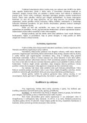 Nacionaliniai vadybos ypatumai Danijos šalyje 8 puslapis