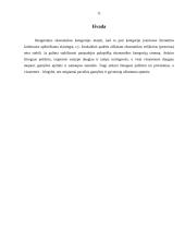 Nacionalinio produkto pusiausvyra 11 puslapis