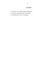 Nacionalinio produkto pusiausvyra 12 puslapis