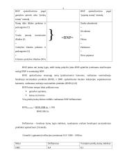 Nacionalinio produkto pusiausvyra 3 puslapis