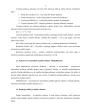 Nacionalinio produkto pusiausvyra 5 puslapis