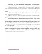 Nacionalinio produkto pusiausvyra 6 puslapis