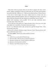 Naftos gavybos įmonių verslo vystymosi perspektyvos 2 puslapis