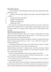 Naftos gavybos įmonių verslo vystymosi perspektyvos 3 puslapis