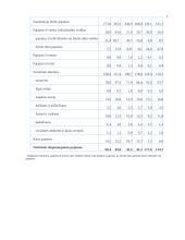 Namų ūkio pajamos ir išlaidos (biudžetai) Lietuvoje 6 puslapis