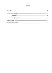 Narkomanijos prevencija Lietuvoje 2 puslapis