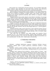 Narkomanijos prevencija Lietuvoje 3 puslapis