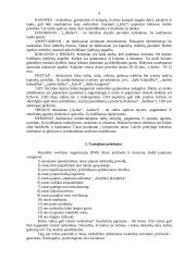 Narkomanijos prevencija Lietuvoje 4 puslapis