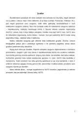 NATO struktūra ir veikla 2 puslapis