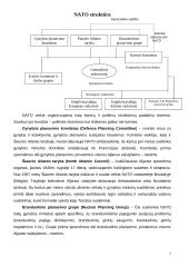 NATO struktūra ir veikla 7 puslapis
