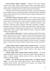 NATO struktūra ir veikla 8 puslapis