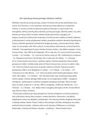 Natūralus gyventojų judėjimas Europoje 12 puslapis