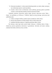 Naujausios vadybos teorijos bei jų raida 20 puslapis