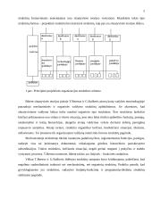 Naujausios vadybos teorijos bei jų raida 5 puslapis