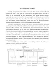 Naujausios vadybos teorijos bei jų raida 8 puslapis