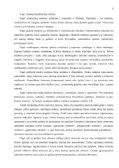 Naujausios vadybos teorijos bei jų raida 9 puslapis