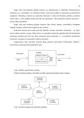 Naujausios vadybos teorijos bei jų raida 10 puslapis