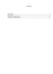 Makroekonomikos problema - nedarbas ir infliacija 2 puslapis