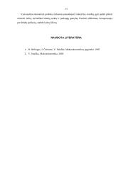 Makroekonomikos problema - nedarbas ir infliacija 11 puslapis