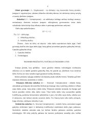 Makroekonomikos problema - nedarbas ir infliacija 4 puslapis