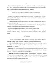 Makroekonomikos problema - nedarbas ir infliacija 6 puslapis