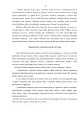 Makroekonomikos problema - nedarbas ir infliacija 10 puslapis