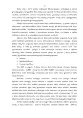 Nedarbas ir jo mažinimo priemonės Lietuvoje 11 puslapis