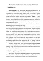 Nedarbas ir jo mažinimo priemonės Lietuvoje 3 puslapis