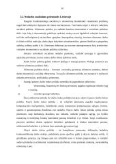 Nedarbas ir jo mažinimo priemonės Lietuvoje 10 puslapis