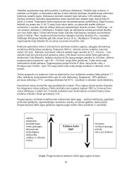 Nedarbas ir užimtumas Lietuvoje 10 puslapis