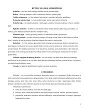 Nedarbas ir užimtumo lygis Lietuvoje 2 puslapis