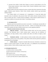 Nedarbas ir užimtumo lygis Lietuvoje 3 puslapis