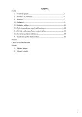 Nedarbas Lietuvoje kaip socialinė problema 2 puslapis