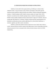 Nedarbas Lietuvoje kaip socialinė problema 12 puslapis