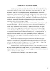 Nedarbas Lietuvoje kaip socialinė problema 14 puslapis