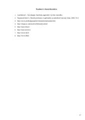 Nedarbas Lietuvoje kaip socialinė problema 17 puslapis