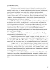 Nedarbas Lietuvoje kaip socialinė problema 3 puslapis