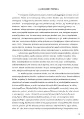 Nedarbas Lietuvoje kaip socialinė problema 10 puslapis