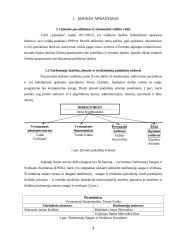 Nelaimingas atsitikimas darbe 3 puslapis