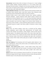 Nėštumas: nuo vaisiaus susiformavimo iki gimimo 11 puslapis