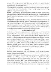 Nėštumas: nuo vaisiaus susiformavimo iki gimimo 13 puslapis