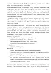 Nėštumas: nuo vaisiaus susiformavimo iki gimimo 14 puslapis