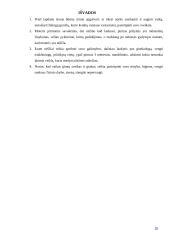 Nėštumas: nuo vaisiaus susiformavimo iki gimimo 16 puslapis