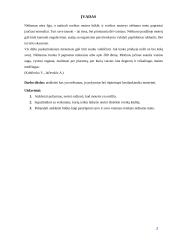 Nėštumas: nuo vaisiaus susiformavimo iki gimimo 3 puslapis