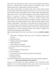 Nėštumas: nuo vaisiaus susiformavimo iki gimimo 6 puslapis