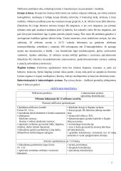 Nėštumas: nuo vaisiaus susiformavimo iki gimimo 7 puslapis