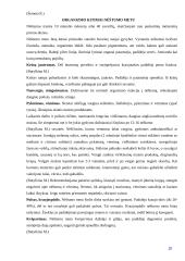 Nėštumas: nuo vaisiaus susiformavimo iki gimimo 10 puslapis