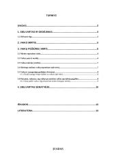 Netektis mirties atveju 2 puslapis