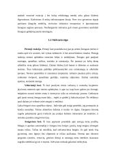 Netektis mirties atveju 4 puslapis